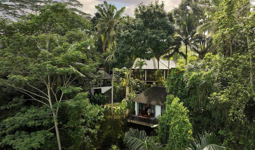 Ubud Villa 3862 — image 2