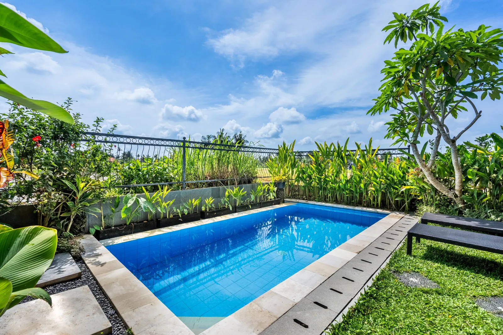 Panoramic Rice Field Sanctuary 2 Bedroom Private Villa in Ubud