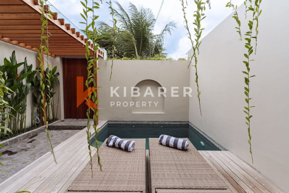 Chic Two Bedroom Enclosed Living Room Minimalist Villa in Canggu — image 5