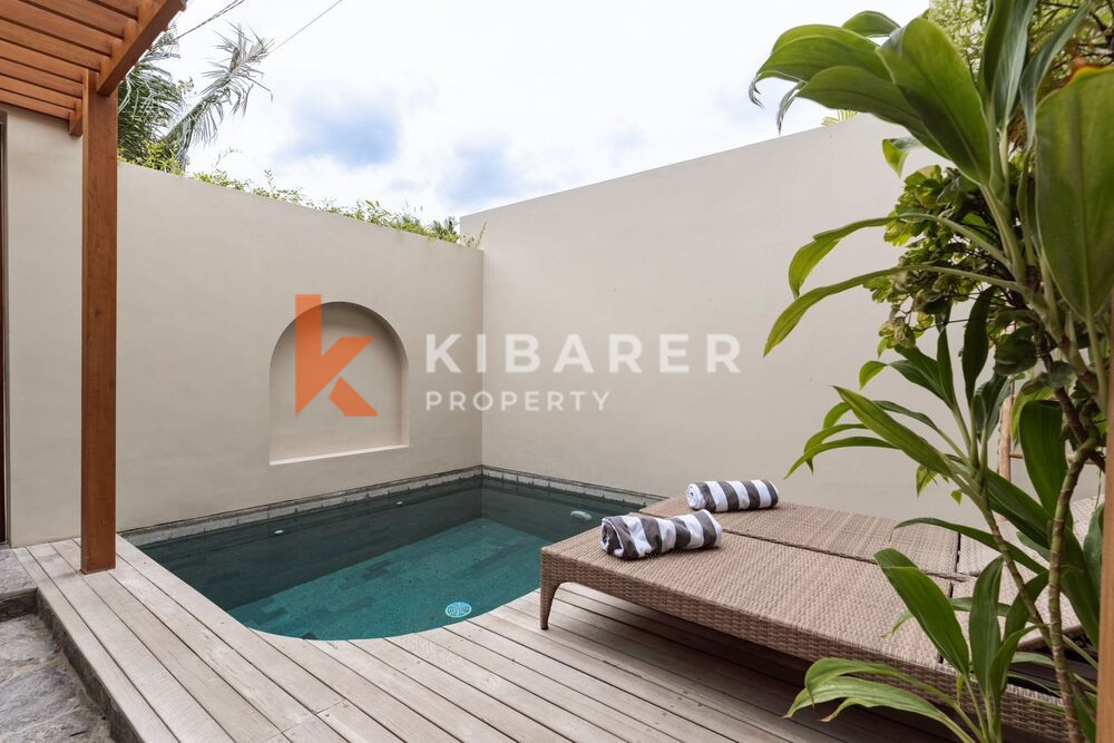 Chic Two Bedroom Enclosed Living Room Minimalist Villa in Canggu — image 7