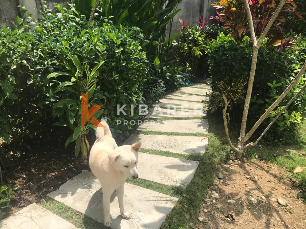Three-Bedroom Villa in North Canggu — image 5