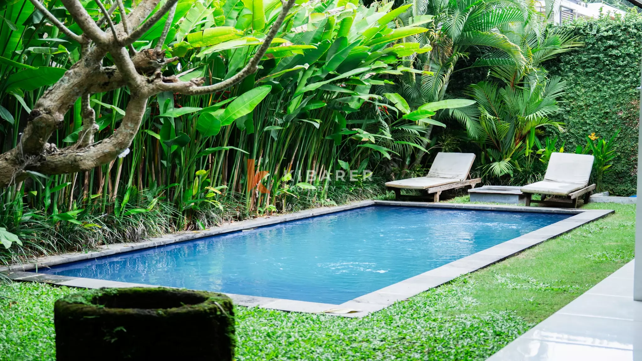 Stunning Three-Bedroom Tropical Villa with Open Living and Pool in Canggu — image 3