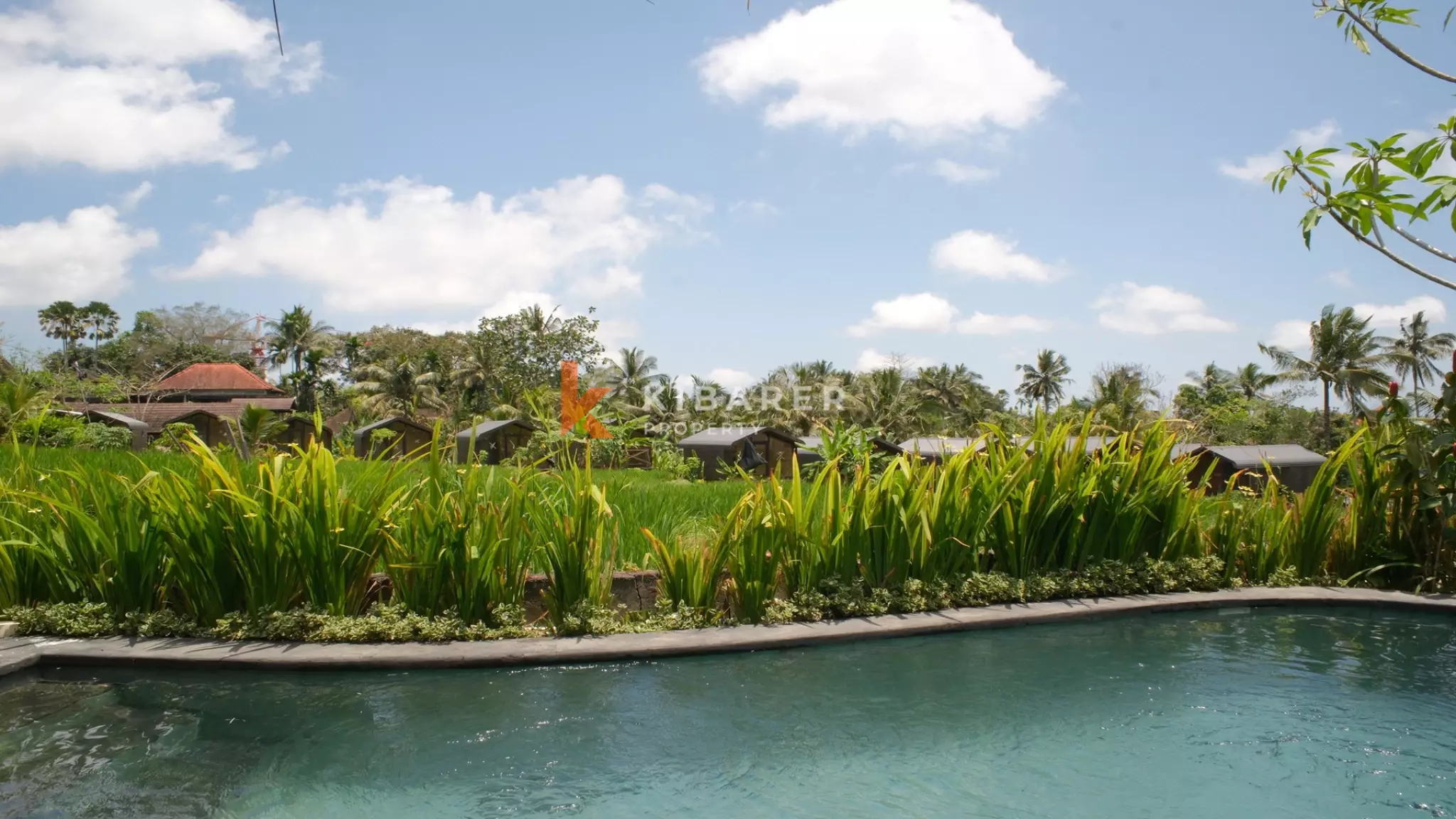 Tropical Sanctuary: Private One-Bedroom Pool Villa in Ubud — image 2