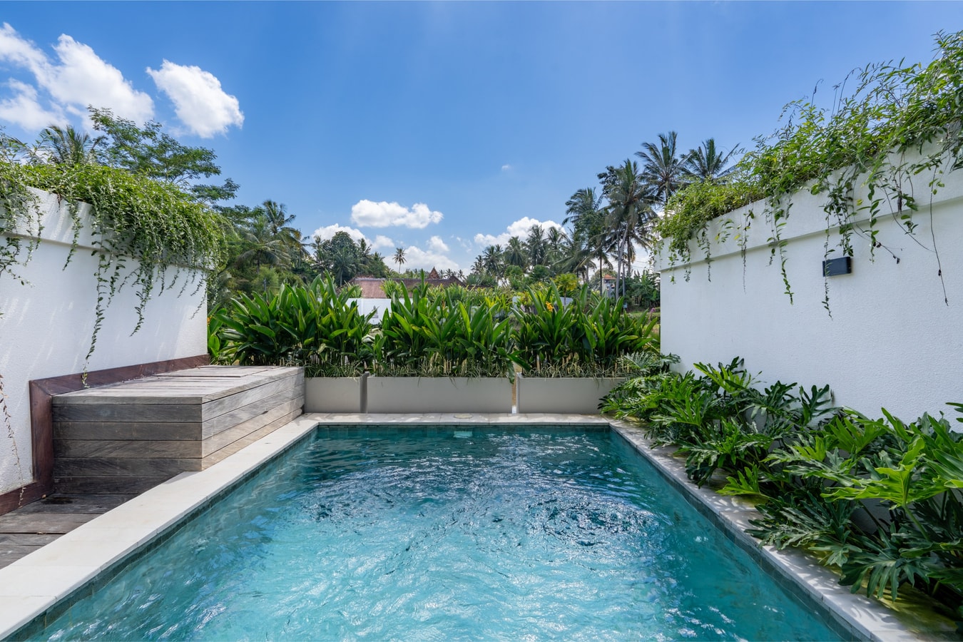 Brand New 2BR Paddy View Villa and Pool, Ubud in Ubud, Bali — image 11
