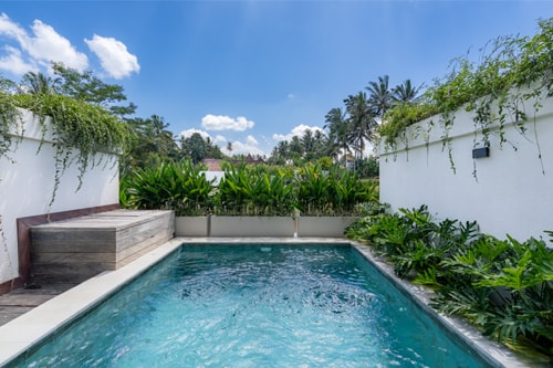 Brand New 2BR Paddy View Villa and Pool, Ubud in Ubud, Bali — image 10