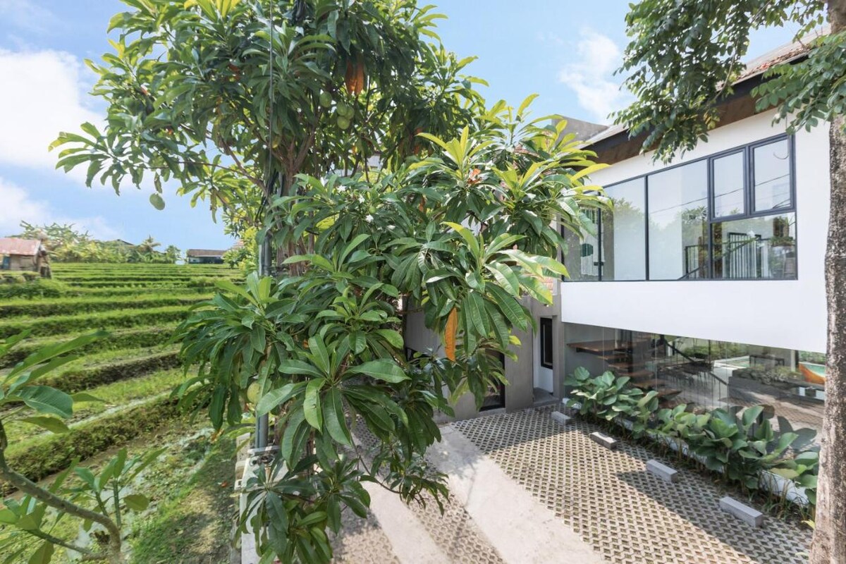 Superb Modern Haven 4 Bedroom Private Villa in Canggu — image 11