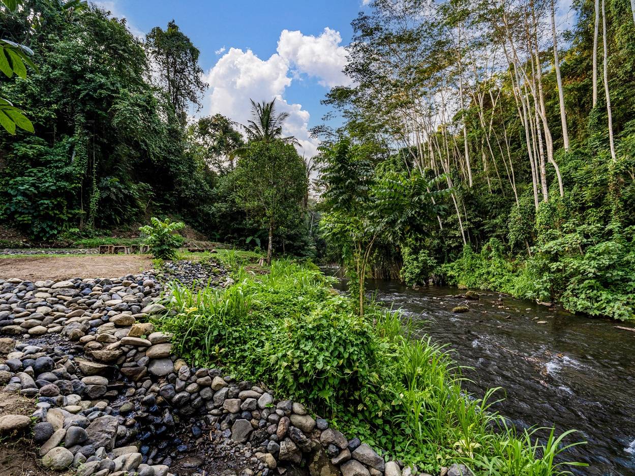 Ubud Villa 3945