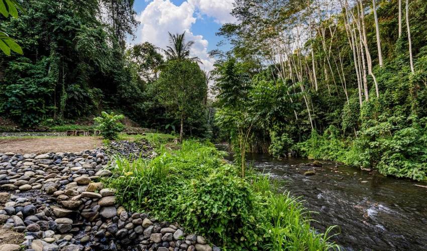 Ubud Villa 3945 — image 2