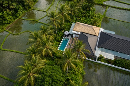 Suite King in Ubud — image 2