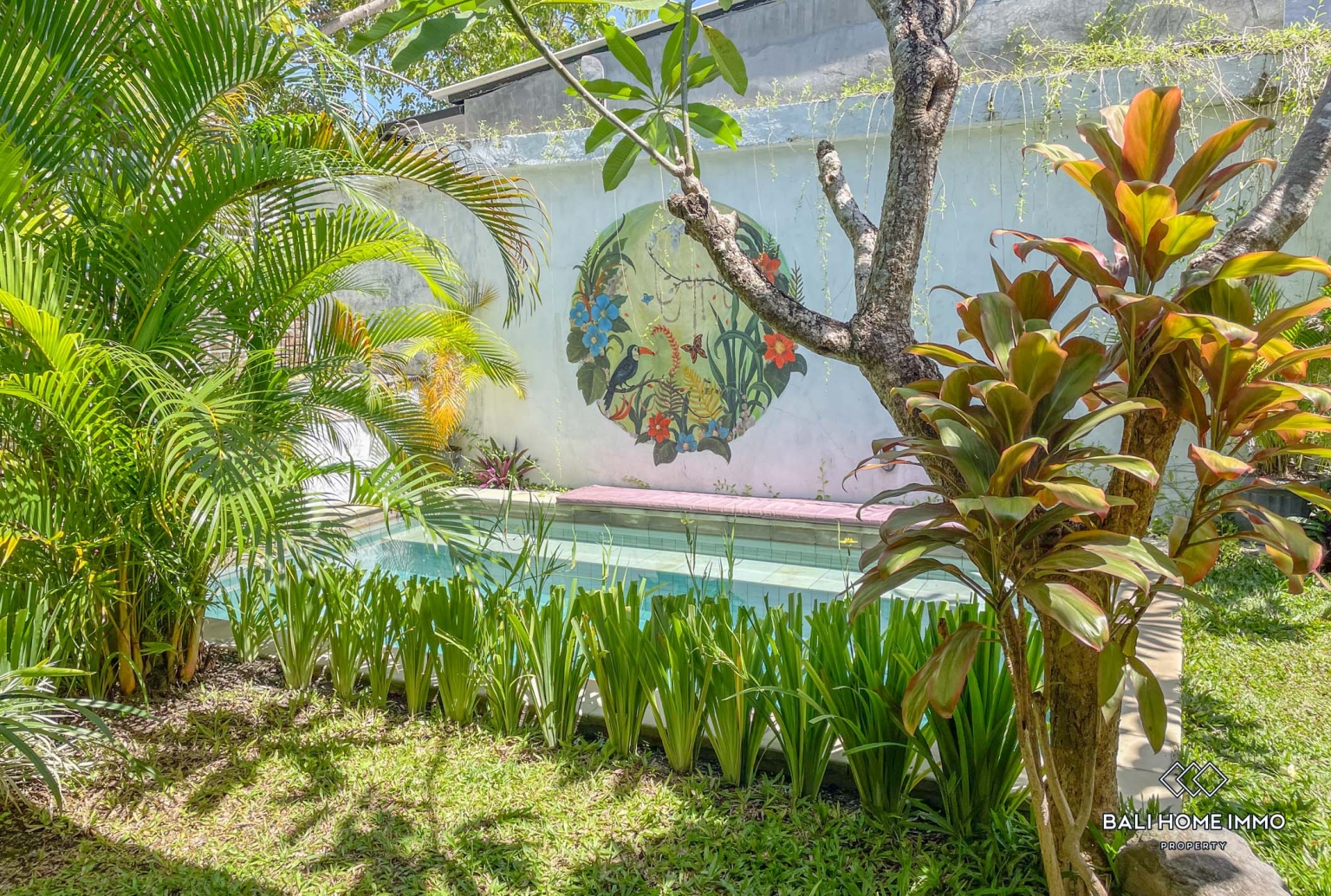 3 Bedrooms guest house for long term rental in Bali Canggu Berawa — image 8