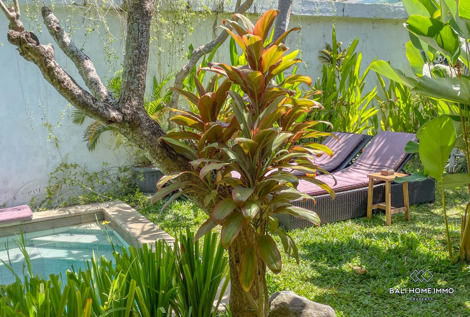 3 Bedrooms guest house for long term rental in Bali Canggu Berawa — image 9