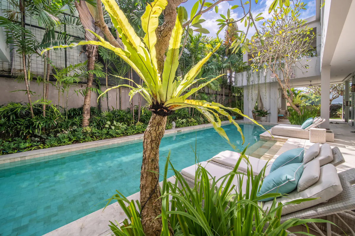 Villa Sunsara — 4BR Villa Rental in Canggu — image 6