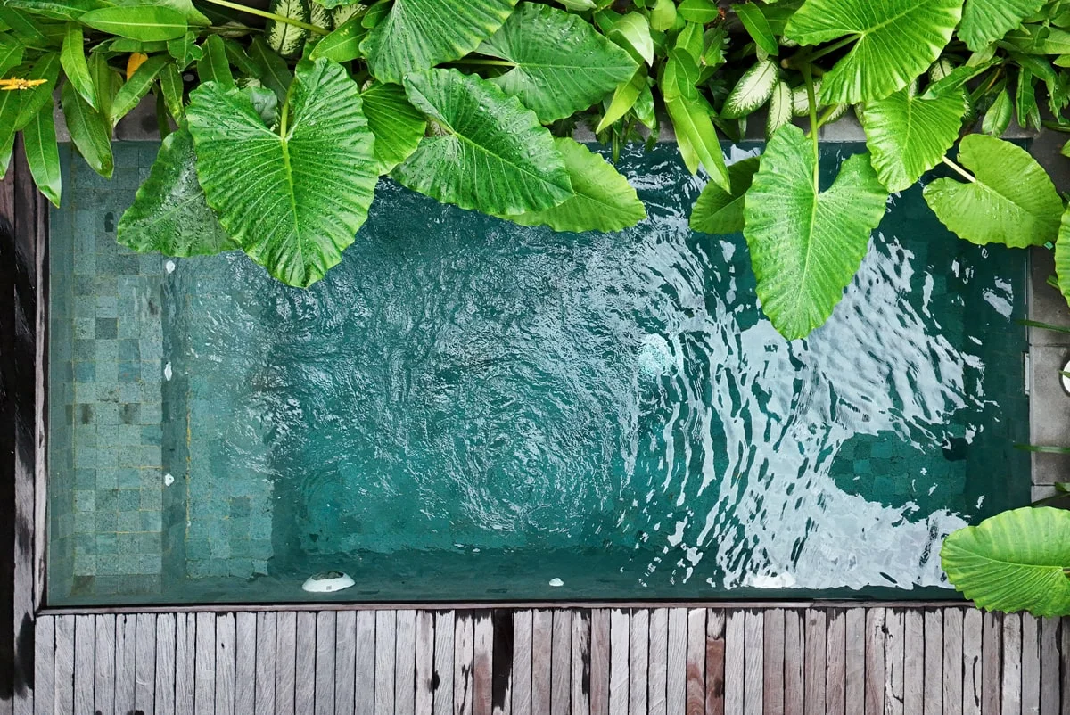 3-Bedroom Villa with Private Pool in Canggu, Bali — image 4