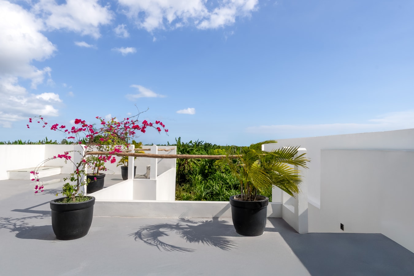 Enaya - Pool, Rooftop Villa, Near Pererenan Beach in Canggu, Bali — image 9