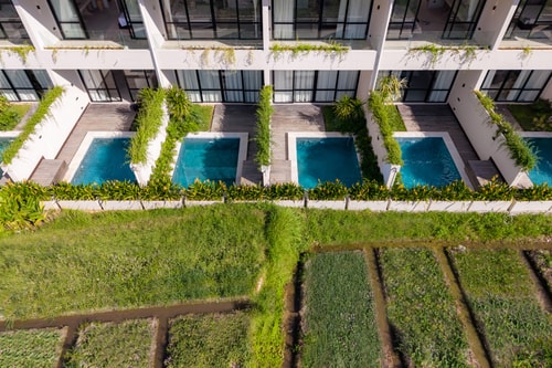 Brand New 2BR Paddy View Villa and Pool, Ubud in Ubud, Bali — image 8