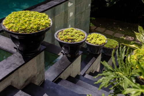 Sanga - 3BR Villa with Pool & Rooftop, Canggu in Pererenan, Bali — image 18