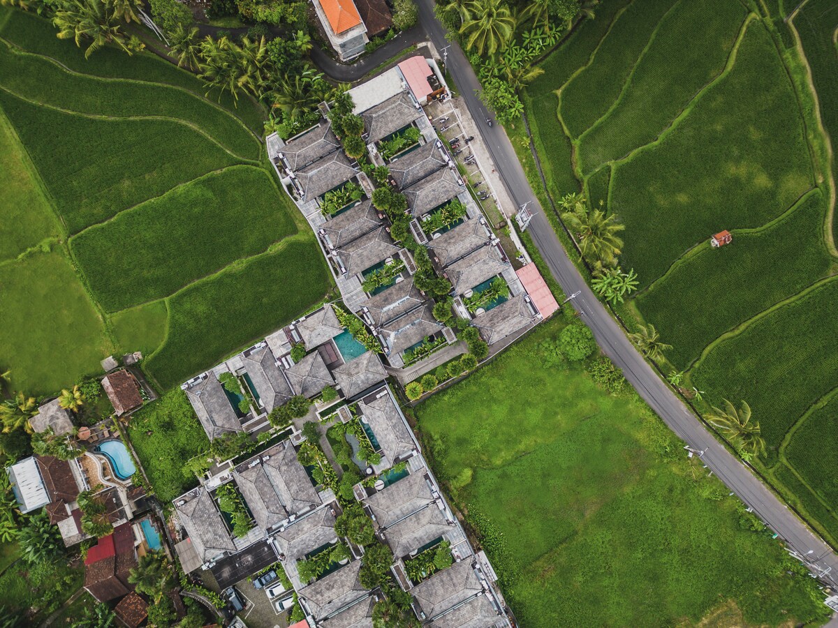 Ultimate Jungle Romance 1 Bedroom Private Villa in Ubud — image 6