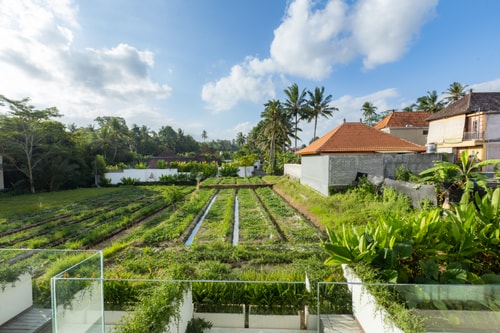 Two Bedroom Penthouse in Ubud, Bali — image 12