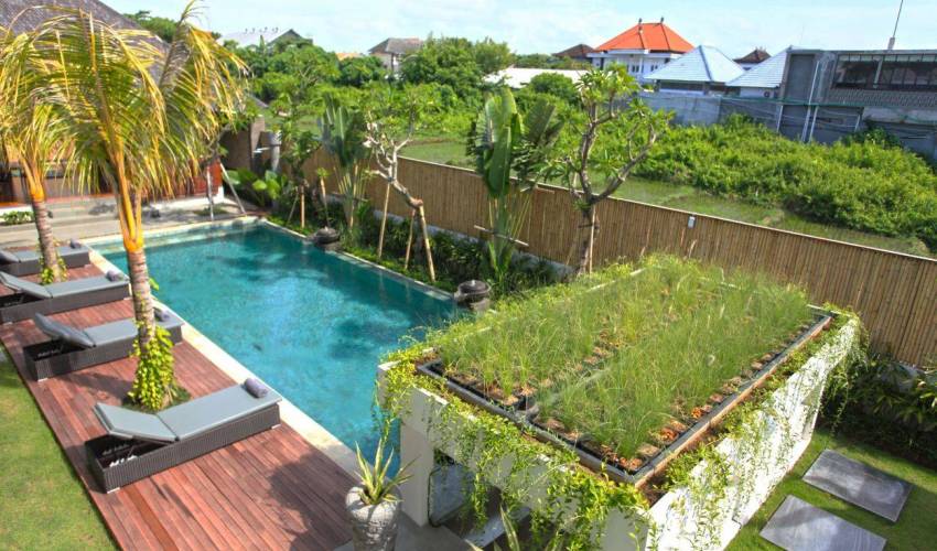7 Bedroom in Canggu — image 7