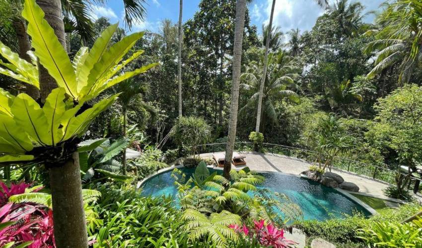 Ubud Villa 3967 — image 2