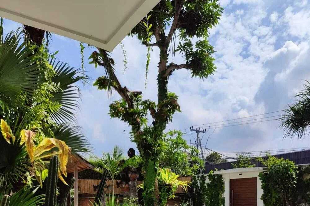 Stylish 4-Bedroom Designer Villa in the Heart of Batu Bolong, Canggu — image 18