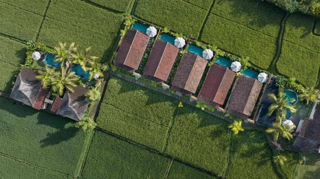Romantic 1BR Rice Field Villa with Private Pool – Near Ubud — image 13