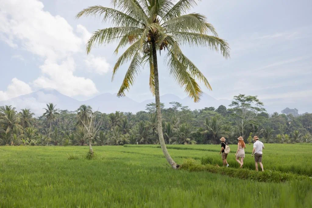 Romantic 1BR Rice Field Villa with Private Pool – Near Ubud — image 12