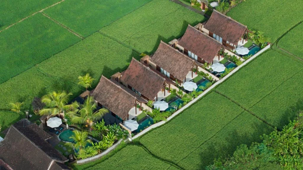 Romantic 1BR Rice Field Villa with Private Pool – Near Ubud — image 10