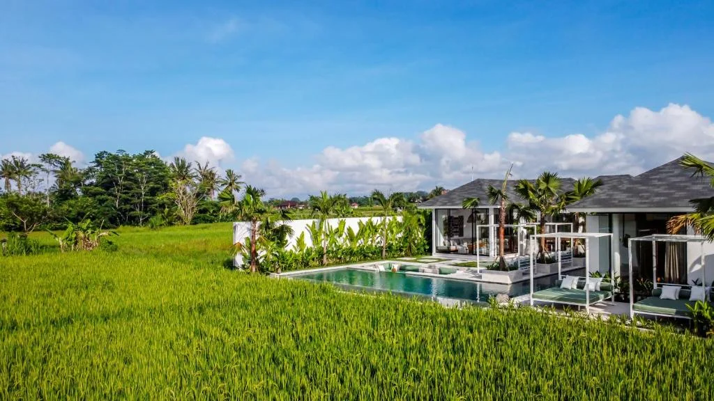 Modern 5-Bedroom Villa with Panoramic Rice Field Views in Ubud — image 13
