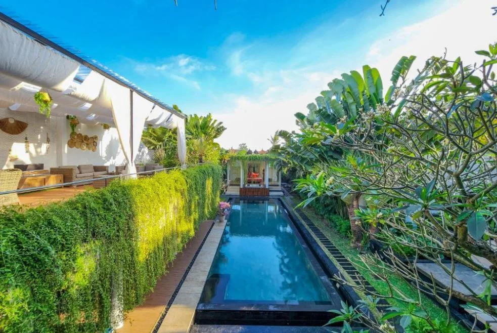 5BR Luxury Villa with Private Pool & Garden View in Canggu — image 4