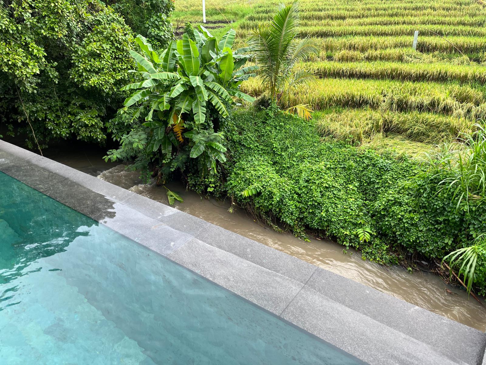 Modern 3-Bedroom Rice Field Villa for Rent in Pererenan — image 5