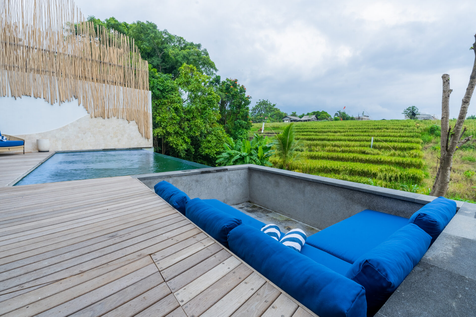 Modern 3-Bedroom Rice Field Villa for Rent in Pererenan — image 1