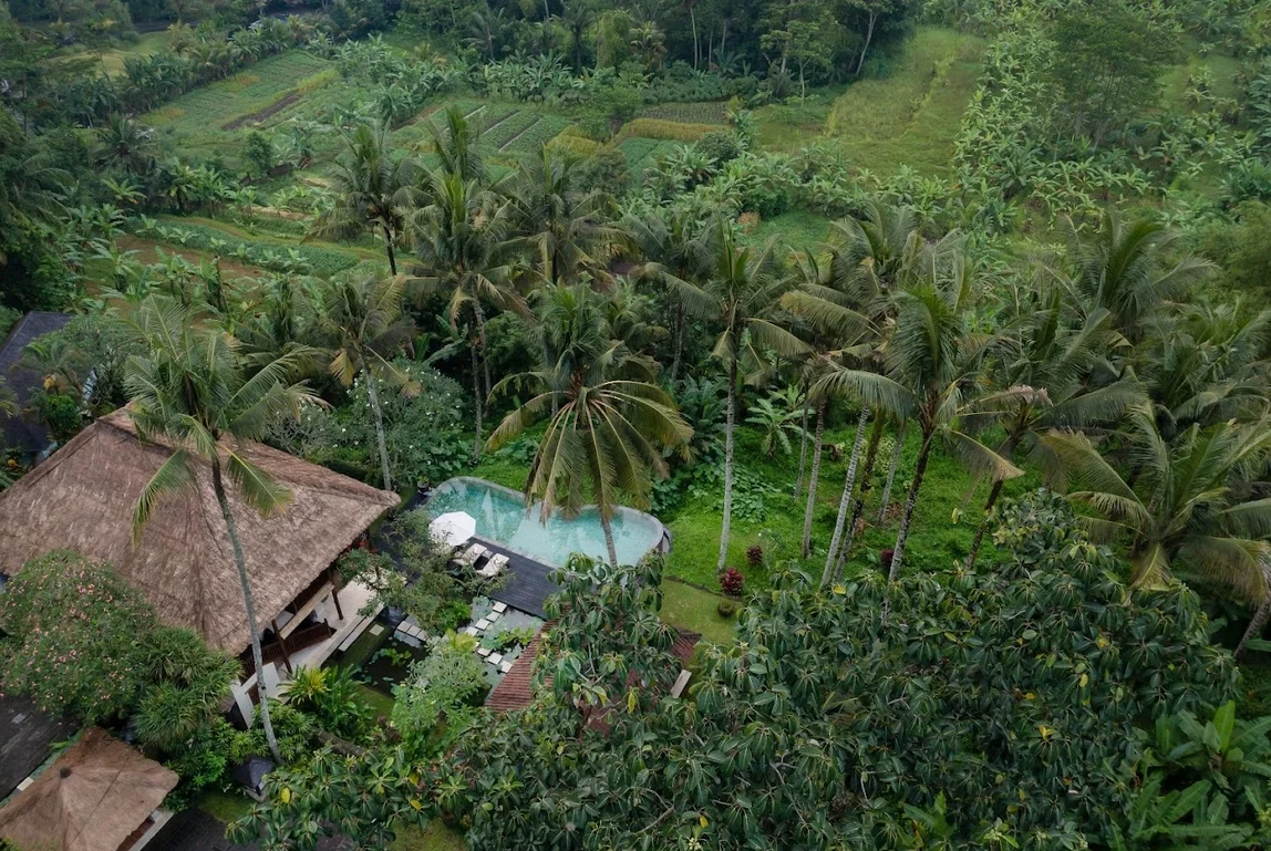 Peaceful 3-Bedroom Villa in Kedewatan Ubud with Infinity Pool – BVI70597