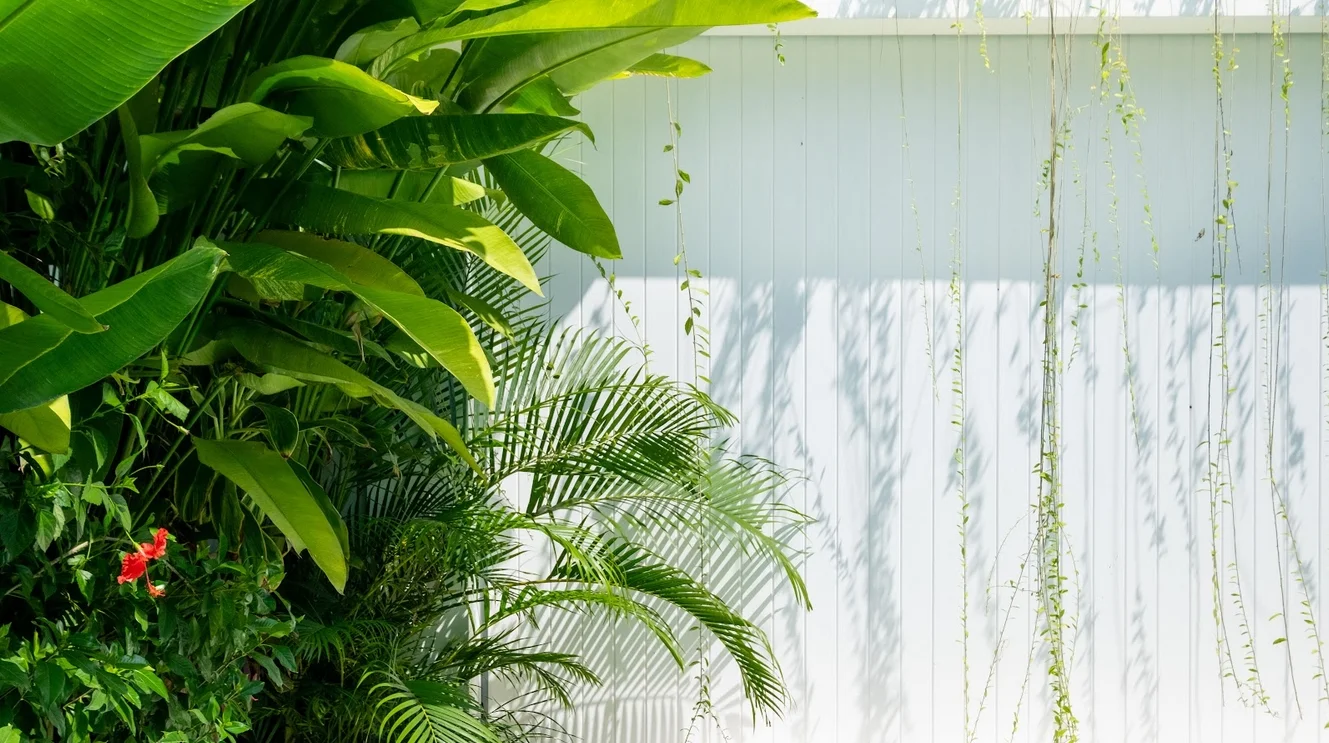 2-Bedroom Private Pool Villa Rental in Canggu – Sleek Private Villa — image 7