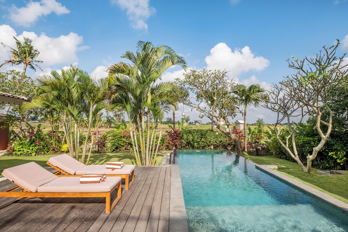 Spacious 4-Bedroom Villa with Rice Field Views in Babakan — image 1