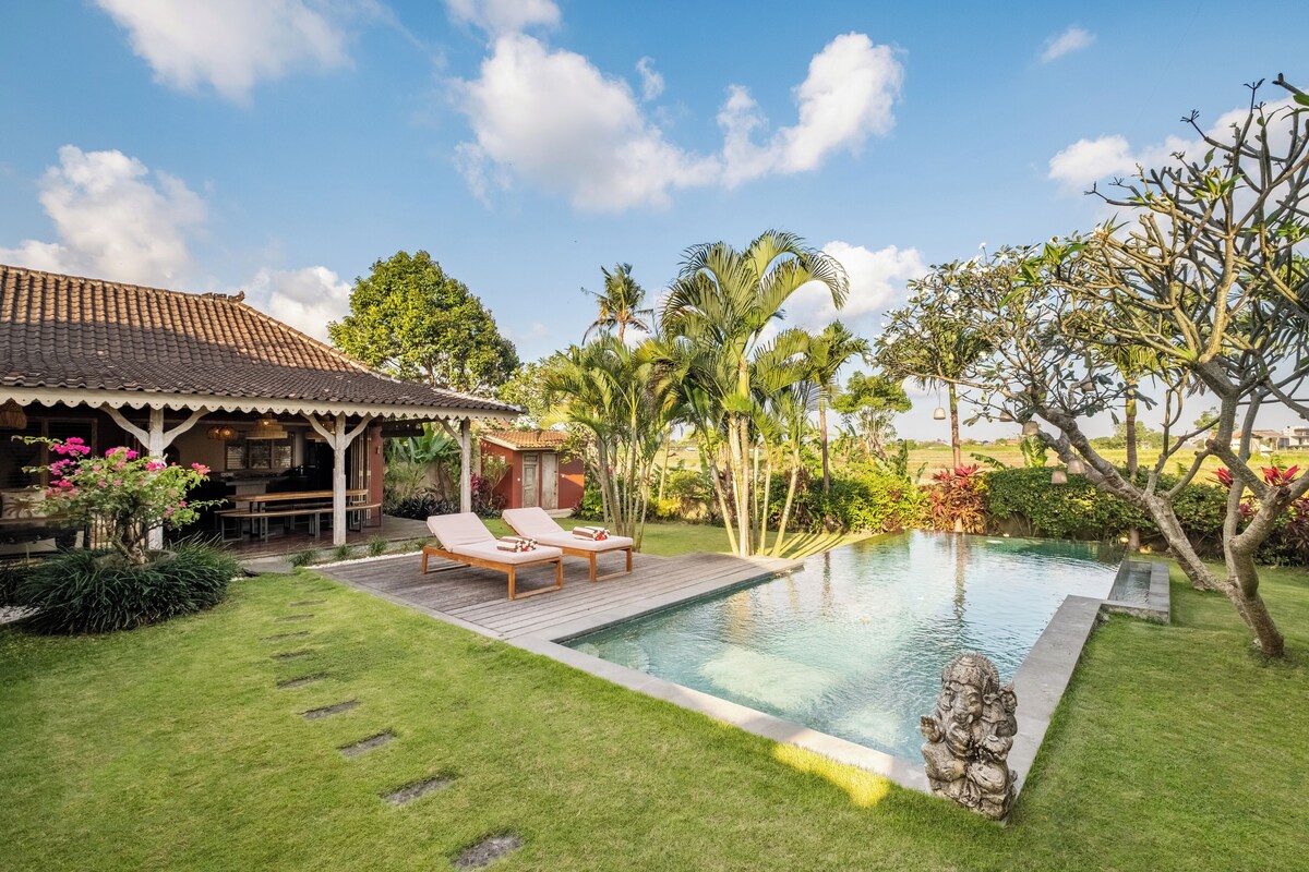 Spacious 4-Bedroom Villa with Rice Field Views in Babakan — image 2