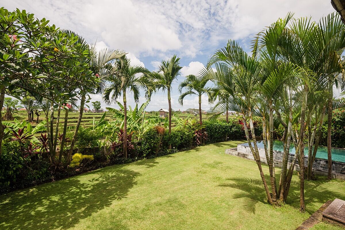 Spacious 4-Bedroom Villa with Rice Field Views in Babakan — image 6