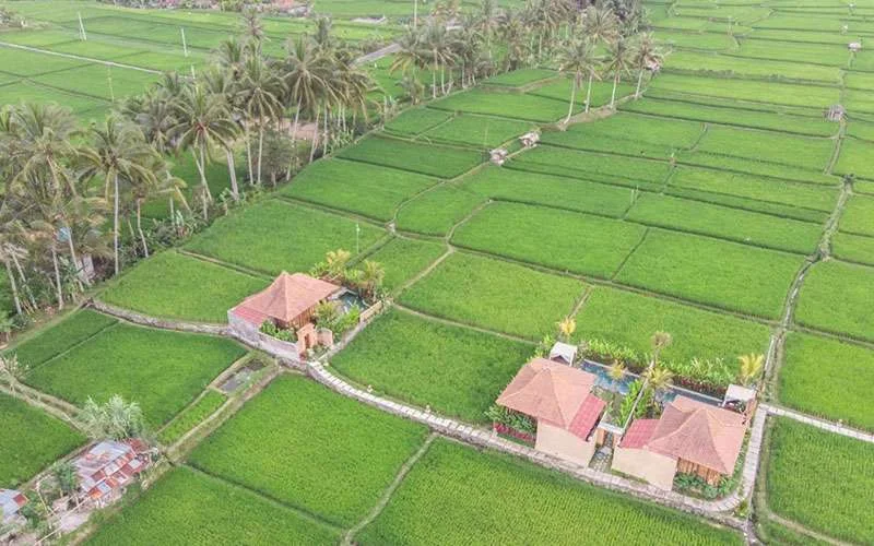 Romantic 1BR Rice Field Villa with Private Pool – Near Ubud — image 3