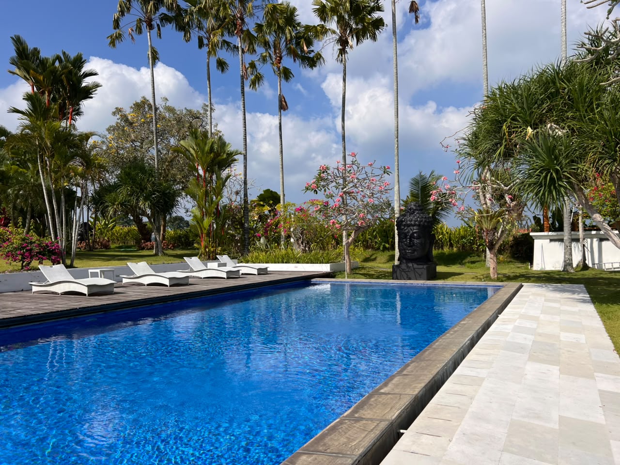 Luxury 4 Bedroom Estate with Rice Field Views in Tabanan — image 3
