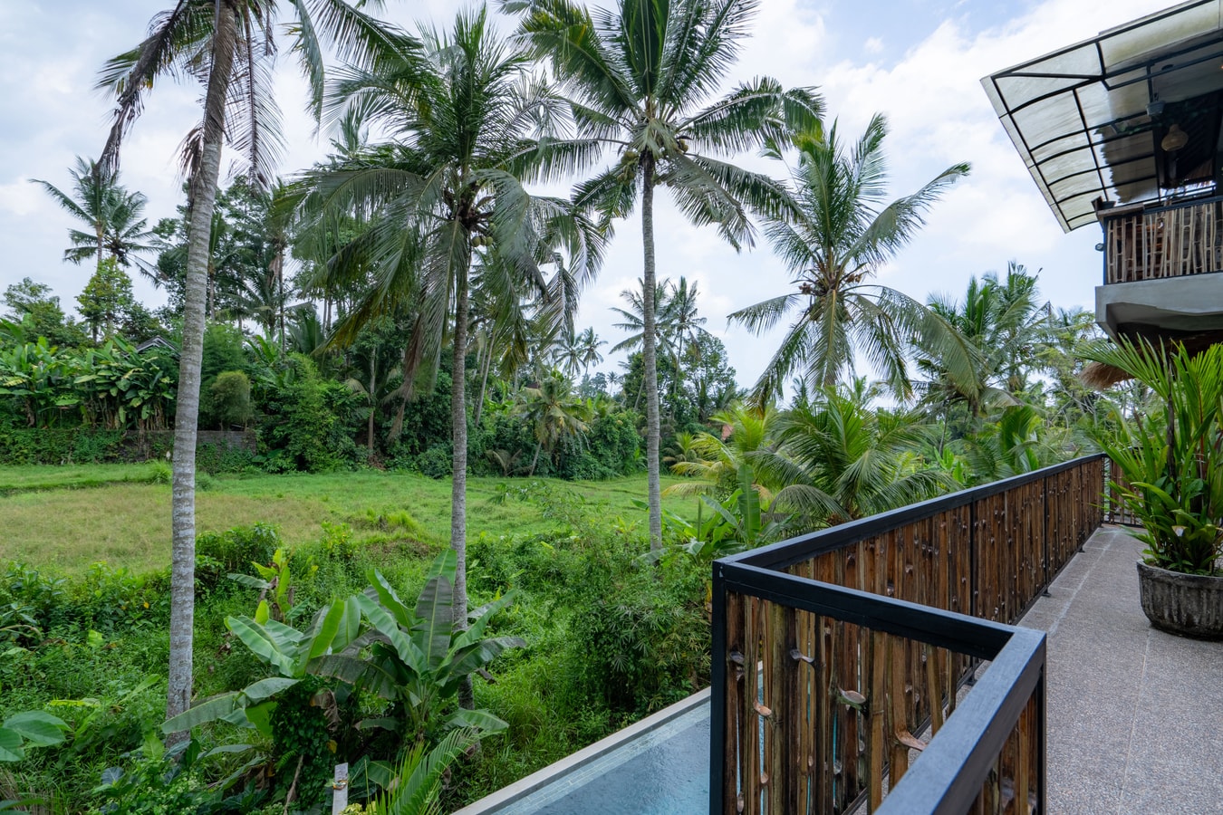 One Bedroom Suites - Paddy View in Ubud, Bali — image 3