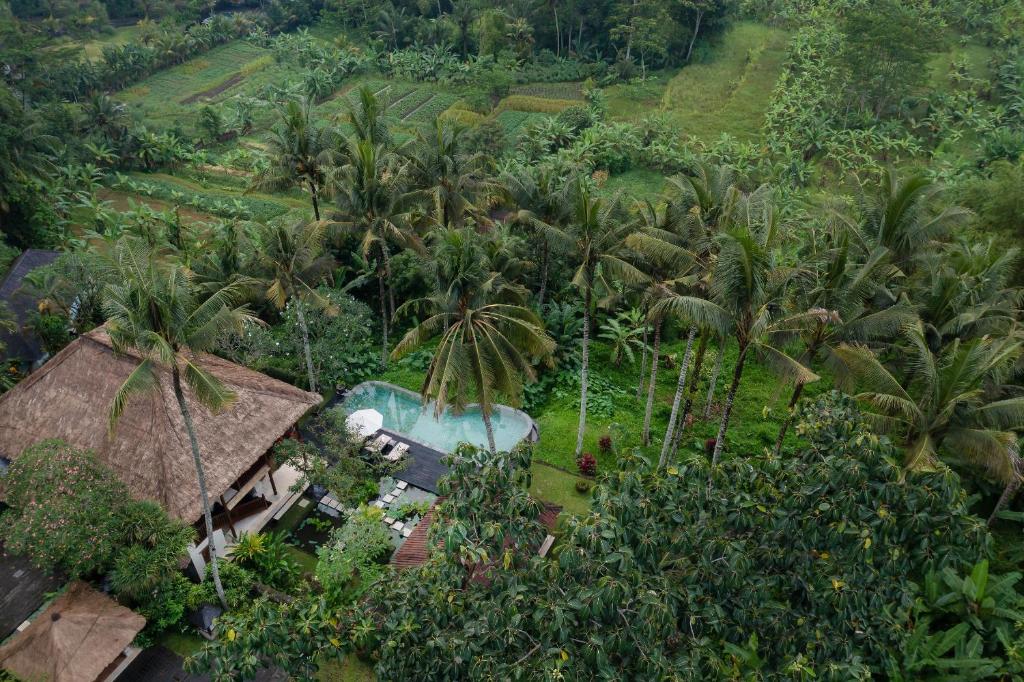 Family Pool Sanctuary 3 Bedroom Private Villa in Ubud — image 2