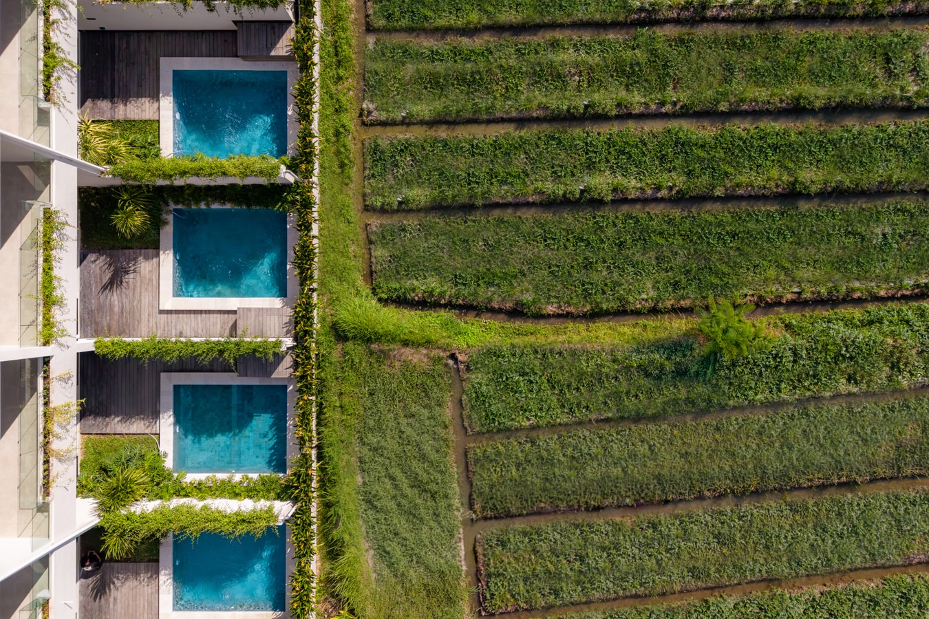 Serenity Ubud by Betterplace in Ubud, Bali — image 19