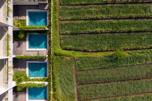 Serenity Ubud by Betterplace in Ubud, Bali — image 18