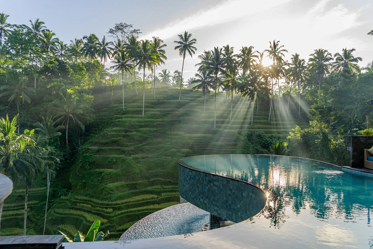Rice-Field Villa Badamari · 4BR · Ubud — 4BR Villa Rental in Ubud — image 12