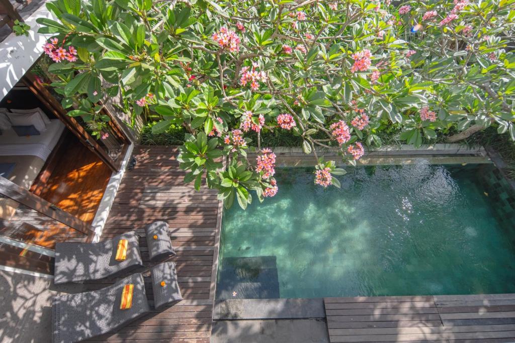 Luxe Amenity Retreat 3 Bedroom Private Villa in Canggu — image 7