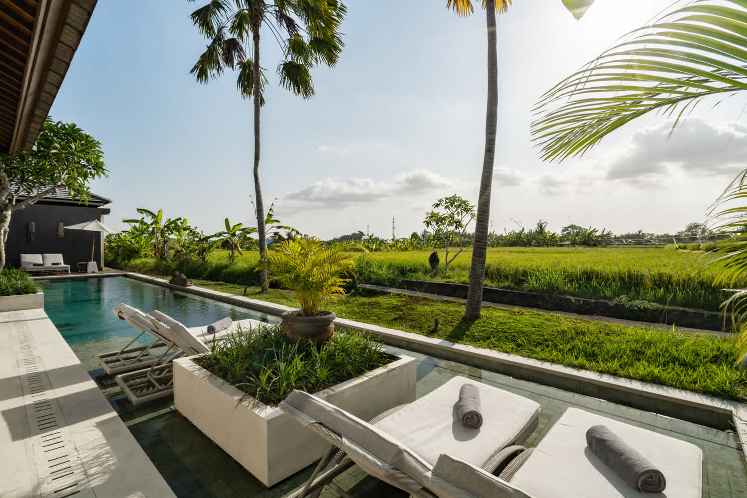 Villa Mimpi in Ubud — image 14