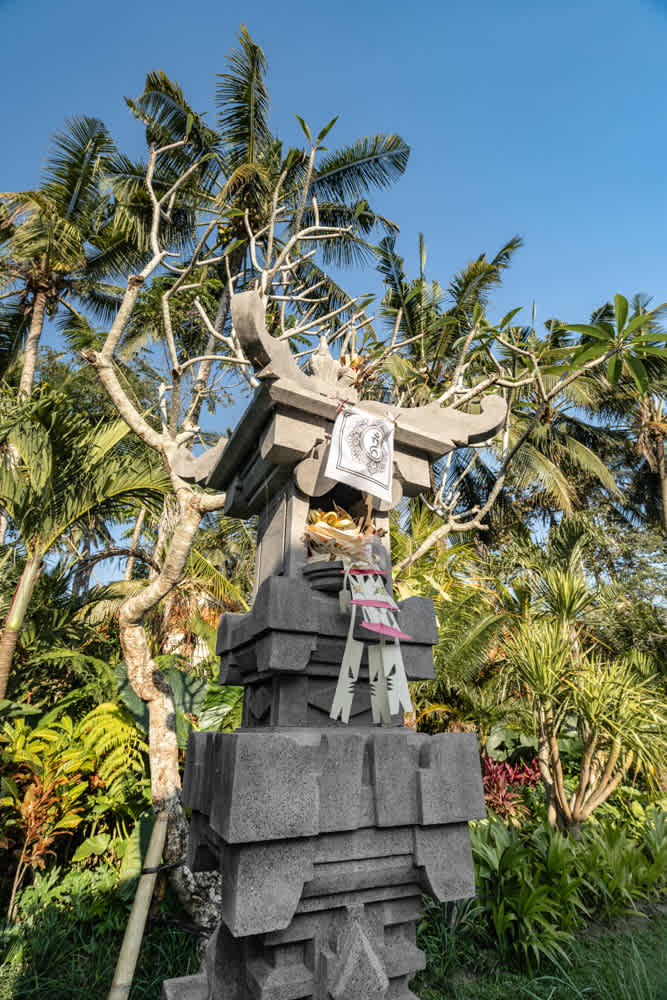 Villa Vivere in Ubud — image 2