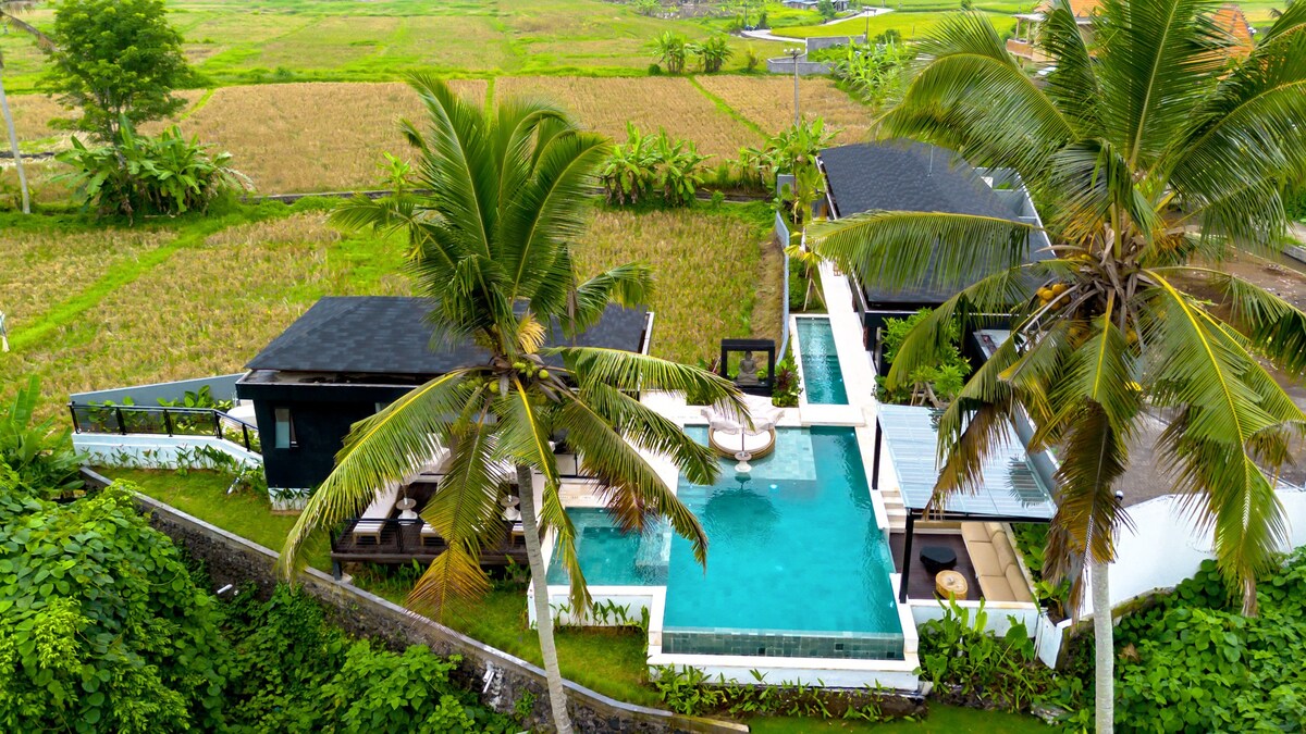 Villa Infinity Ubud — image 8