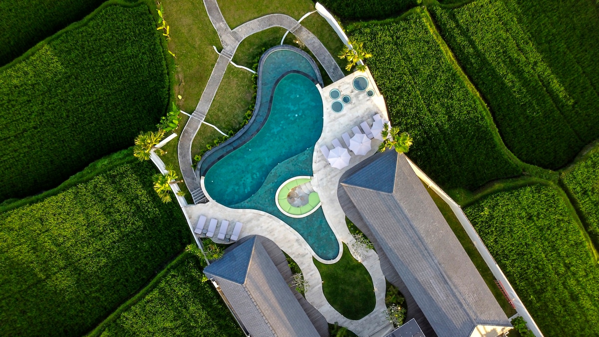 Villa Paradise in Ubud — image 11