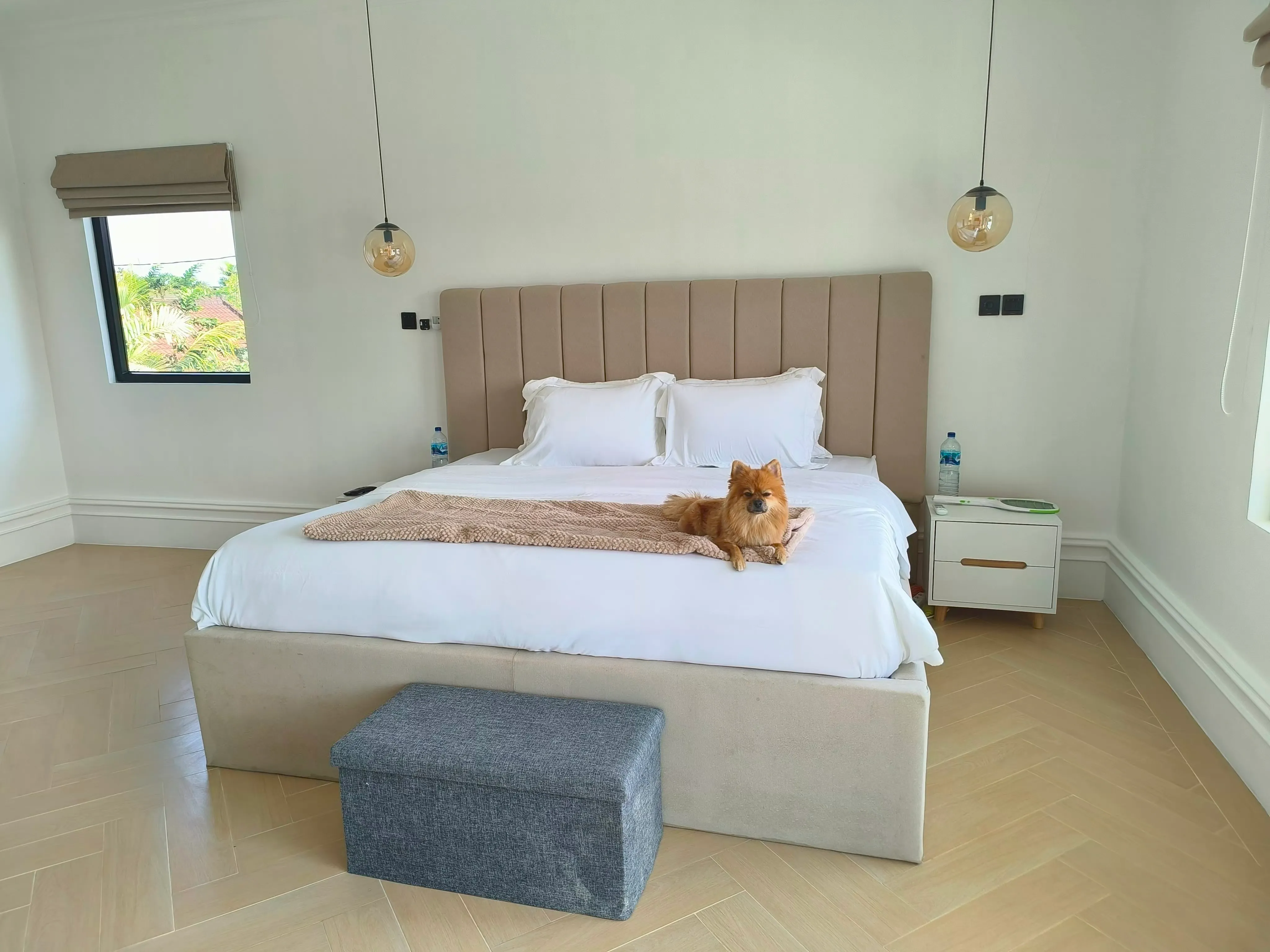 Modern 4-Bedroom Family Villa for Rent in Umalas – Where Comfort Meets Community — image 2
